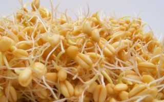 Полный список продуктов, которые содержат много цинка