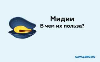 Что полезнее кальмар или креветки или мидии