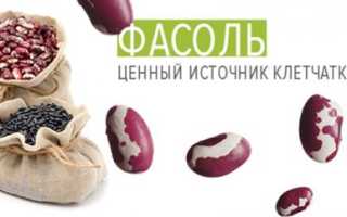 Пищевая и витаминная ценность фасоли − помогут ли бобы сохранить природную красоту?