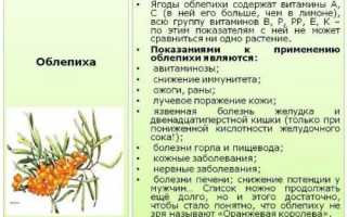 Черничное варенье: польза и вред для здоровья. Рецепты приготовления, сколько можно в день, противопоказания