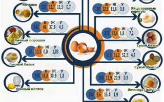 Чем отличается омлет от яичницы: виды блюд