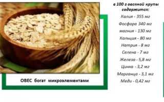 Польза овсяной каши — стрессоустойчивость, энергичность и другие плюсы
