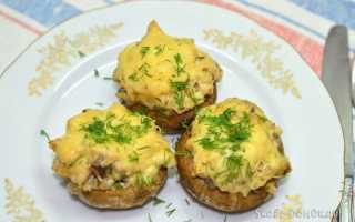 Шампиньоны фаршированные курицей и сыром в духовке — пошаговые рецепты приготовления