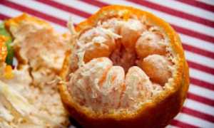 Курица с мандаринами — шикарная подборка рецептов