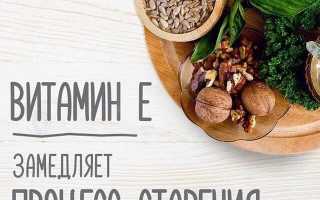 Витамин Е: польза для организма, в каких продуктах содержится, суточная норма и популярные препараты