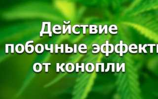 Последствия и эффекты от употребления каннабиноидных наркотиков