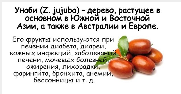 дерево унаби