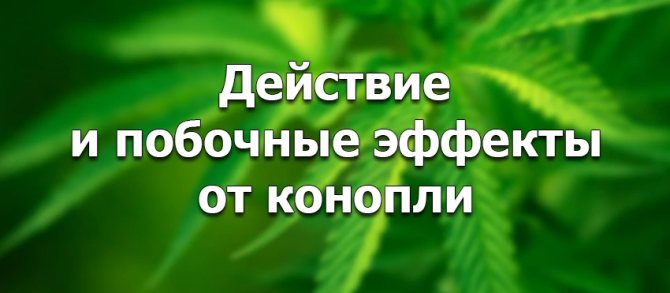 Эффект от каннабиноидов
