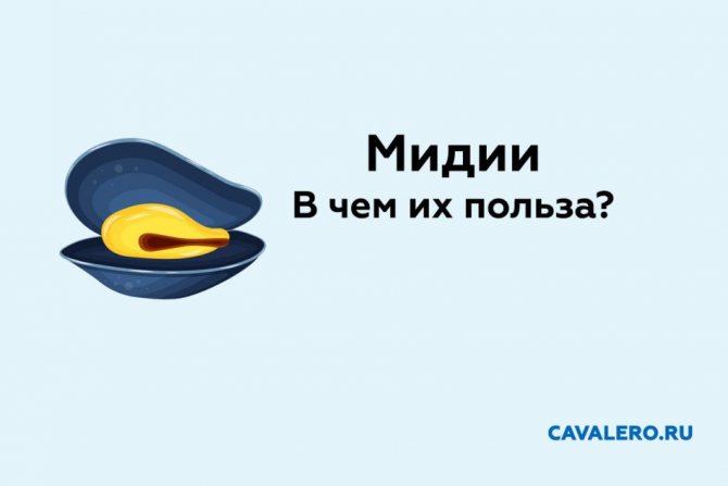 Польза мидий