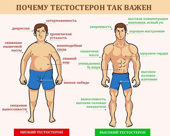 Польза «солнечного» витамина для мужчин