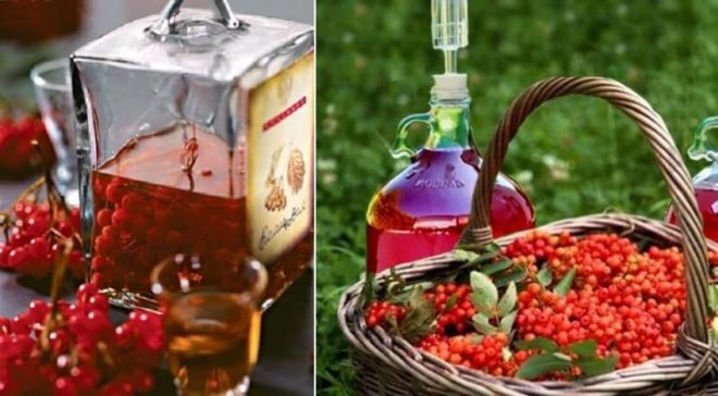 Рябиновая настойка - 11 простых и полезных рецептов