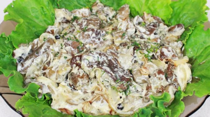 Жареные белые грибы с луком и сметаной: настоящее объедение